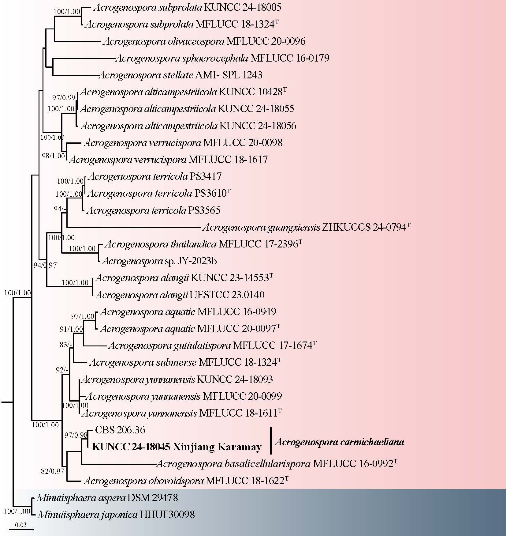 New and notable taxa of Ascomycota on the Qinghai-Xizang Plateau and its surrounding areas: Filamentous and entomopathogenic fungi